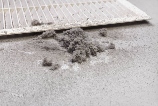 Best Affordable Duct Cleaning Services  in Flemington, PA
